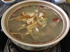 五指毛桃药膳乳鸽-鸽鸟轩(石岐店)