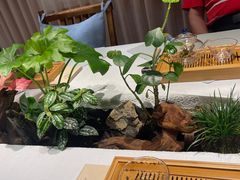 -叶叶菩提·晋福宫