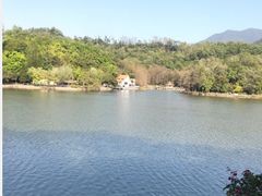 -深圳仙湖植物园
