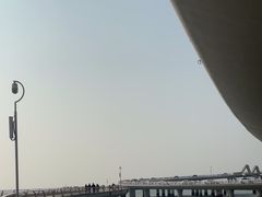-演武大桥观景平台