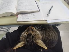 -东华大学(松江校区)