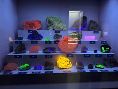 -湖南省地质博物馆