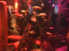 -沈阳海洋探索中心