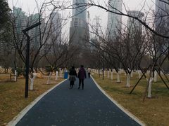 -西北湖绿化广场