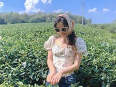-美的鹭湖森林度假区