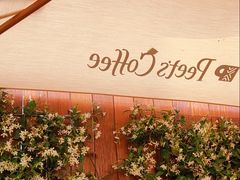 -Peet's Coffee皮爷咖啡(大学路店)