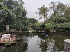 -桂湖森林公园