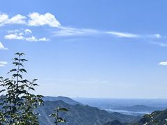 -大岭沟猕猴桃谷风景区