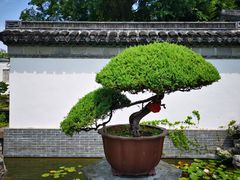 -水绘园