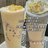宝珠奶酪2024zui新测评！！跟着喝不踩雷✔️