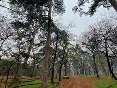 -沈阳市东陵公园