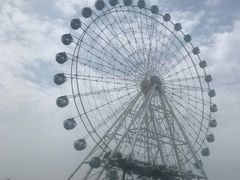 -秦皇岛乐岛海洋王国