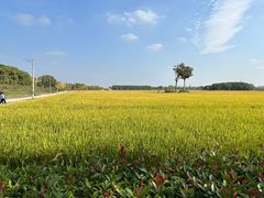 -嘉北郊野公园