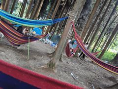 -武陵山森林公园