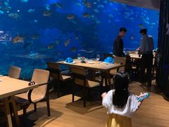 大堂-海棠湾洲际-涛·海底餐厅·美人鱼·自助餐·海底隧道