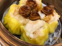 -老广新意(奥园店)