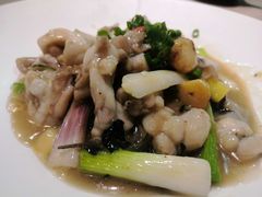 -石头咕(葵蓬店)