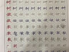 -缤纷鸟美术书法(建大校区)