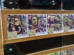 -龟与熊猫宠物公园(南坪店)