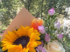 -麦当劳(金山红星美凯龙DT店)