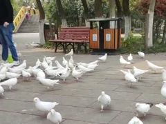 -南昌动物园