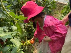 -万源龙顺度假庄园生态观光园