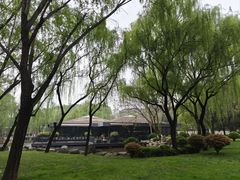 -唐城墙遗址公园