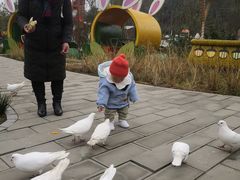 -黄龙溪欢乐田园