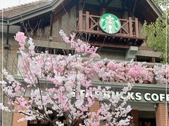 -星巴克臻选(思南公馆店)