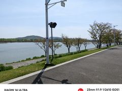 -羊山湖公园