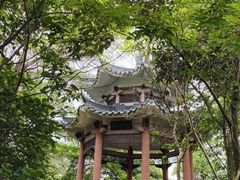 -水濂山森林公园