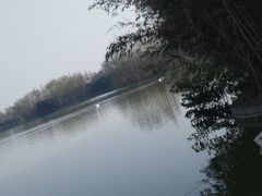 -洛阳市隋唐城遗址植物园