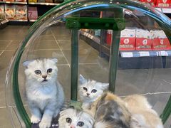 -萌兽医馆·眼科·异宠专科(三里屯店)