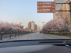 -洛阳市隋唐城遗址植物园