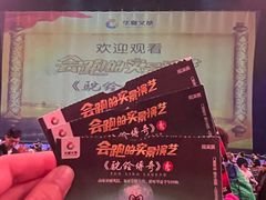 -《驼铃传奇》秀