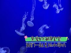 -香港海洋公园