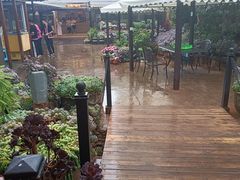 -山菌美食苑(振兴路店)