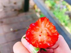 -罗家巷子休闲庄自助碳烤
