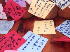 iphone_upload_pic-泸沽肴(泸沽湖大洛水村农村信用社旁店)