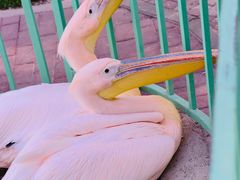 -水上乐园·欢乐世界