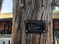 -保定直隶总督署博物馆