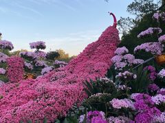 -中国科学院华南植物园