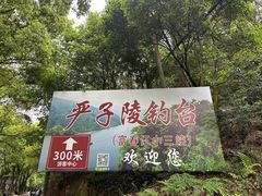 -严子陵钓台(富春江小三峡)