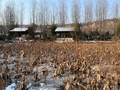 -渭南桃花源民俗文化园