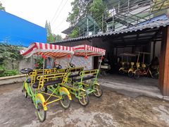 -罗家巷子休闲庄自助碳烤