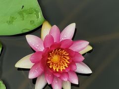 -郑东新区龙湖公共艺术中心