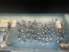 -浙江自然博物院(杭州馆)