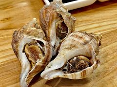 白灼海螺-吉友粥底火锅(方斜路店)