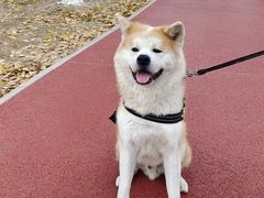 -绿堤公园