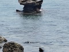 -涠洲岛火山国家地质公园